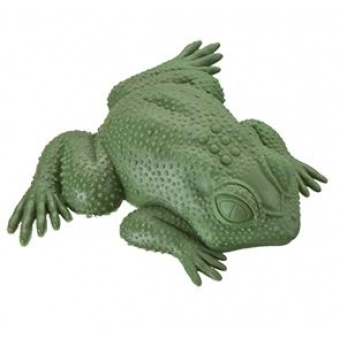 Sapo de Borracha Verde Gala