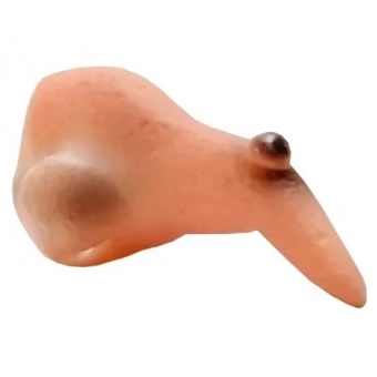 Nariz de Bruxa de Borracha Halloween