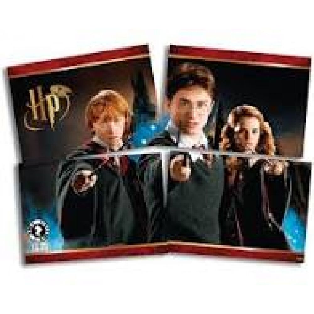 Painel Gigante Harry Potter Festcolor - Temas Infantis Feestcolor