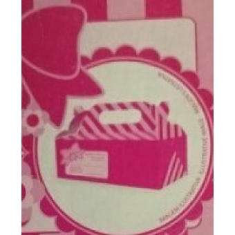 Caixa Surpresa Para Viagem Listra Rosa c/4 Regina Festas