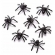 Mini Aranha Halloween c/50 BPG - Halloween