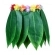 Saia Havaiana de Folhas Verdes Adulto - Fantasias