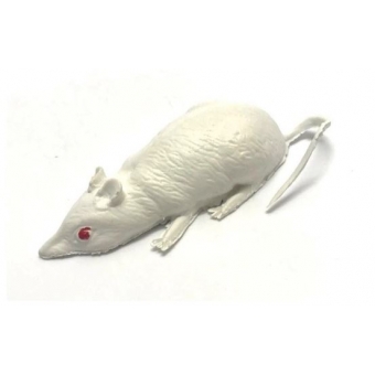 Rato Branco de Borracha Pim Pum