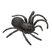 Aranha de Borracha Preta Halloween - Halloween