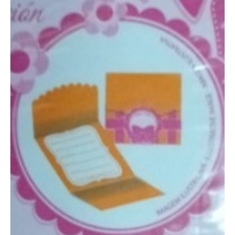 Convite Listra Laranja c/8 Regina Festas