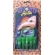 Kit Fantasia Bruxa Verde Halloween - Halloween