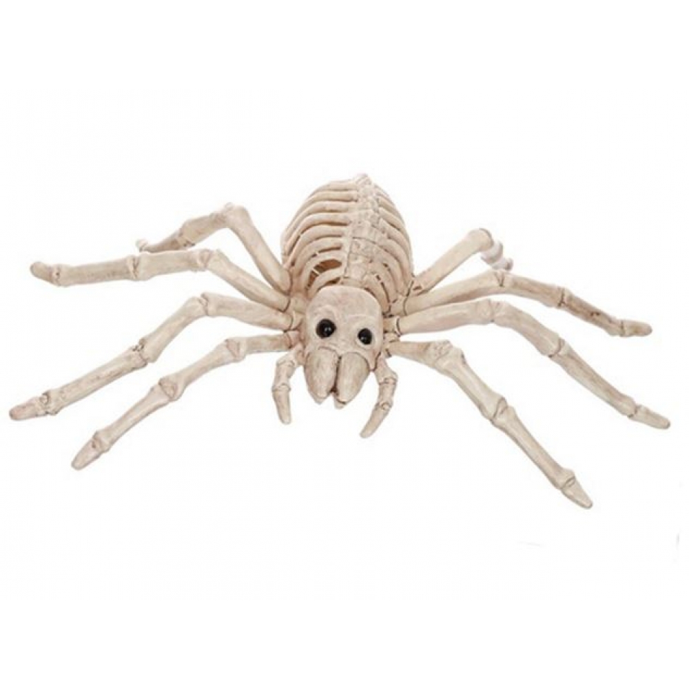 Enfeite Esqueleto Plástico de Aranha Importado - Halloween