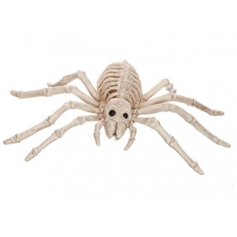 Enfeite Esqueleto Plástico de Aranha Importado