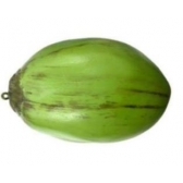 Enfeite Côco de Plástico - Fruta de plástico para decoração de festas em geral