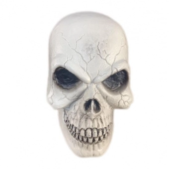 Enfeite Crânio de Plástico Halloween Grande