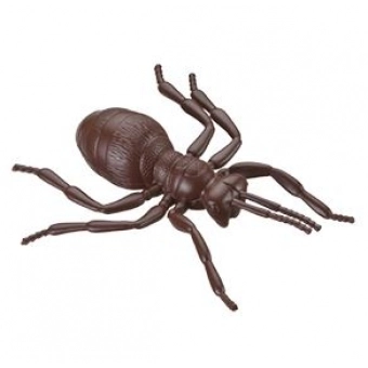 Formiga de Borracha Marrom Gala