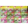 Pedrinhas Para Rosto Neon Carnaval - Carnaval